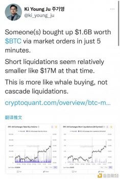 图片[1] - CryptoQuant CEO：疑似巨鲸在5分钟内购买了价值16亿美元的BTC - 屯币呀